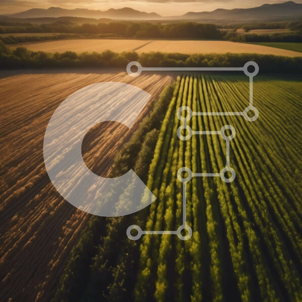 Intra Συλλεκτικό Ξύλινο Παζλ Plywood  4mm - Εναέρια άποψη του πράσινου πεδίου με τις καλλιέργειες και τα βουνά Σε Ξύλινο Κουτί - Διαστάσεις: 10x10 cm – 25 κομμάτια