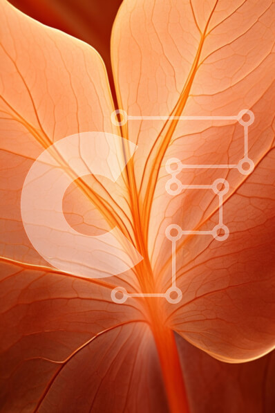 Σετ των 2 Intra Συλλεκτικό Ξύλινο Παζλ Plywood  4mm - Κοντινό πλάνο ενός φύλλου πορτοκαλιού από διαφορετικές γωνίες Σε Ξύλινο Κουτί - Διαστάσεις: 10x10 cm – 25 κομμάτια