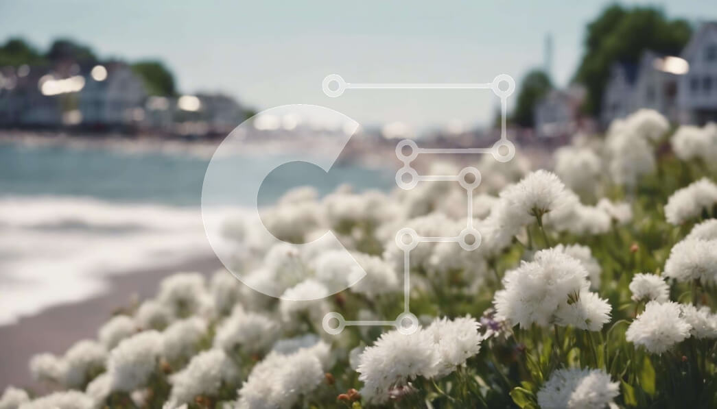 Intra Συλλεκτικό Ξύλινο Παζλ Plywood  4mm - Λευκά λουλούδια δίπλα στην αστική ακτή Σε Ξύλινο Κουτί - Διαστάσεις: 10x10 cm – 25 κομμάτια