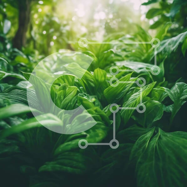 Intra Συλλεκτικό Ξύλινο Παζλ Plywood  4mm - Καταπράσινο δάσος με το φως του ήλιου που φιλτράρεται μέσα από τα φύλλα Σε Ξύλινο Κουτί - Διαστάσεις: 10x10 cm – 25 κομμάτια