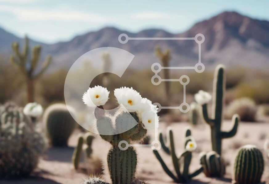 Intra Συλλεκτικό Ξύλινο Παζλ Plywood  4mm - Φυτά κάκτων στην έρημο με λευκά λουλούδια και βουνά Σε Ξύλινο Κουτί - Διαστάσεις: 10x10 cm – 25 κομμάτια