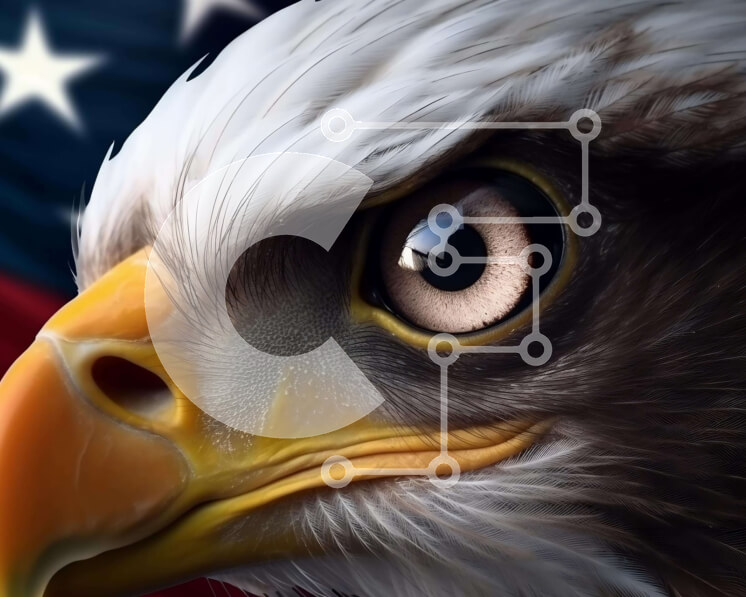 Intra Συλλεκτικό Ξύλινο Παζλ Plywood  4mm - Κεφάλι Αετού με Αμερικανική Σημαία για Πατριωτική Υποστήριξη Σε Ξύλινο Κουτί - Διαστάσεις: 10x10 cm – 25 κομμάτια