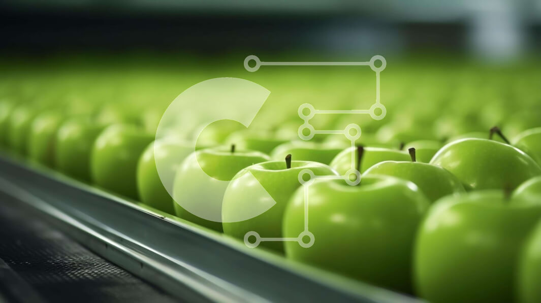 Σετ των 2 Intra Συλλεκτικό Ξύλινο Παζλ Plywood  4mm - Πρόσφατα συγκομισμένα πράσινα μήλα σε έναν ιμάντα μεταφοράς Σε Ξύλινο Κουτί - Διαστάσεις: 10x10 cm – 25 κομμάτια