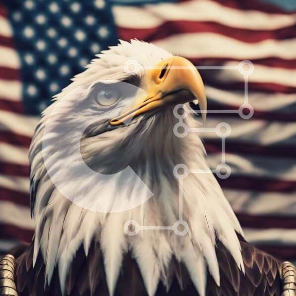 Intra Συλλεκτικό Ξύλινο Παζλ Plywood  4mm - Μεγαλοπρεπής φαλακρός αετός με αμερικανική σημαία Σε Ξύλινο Κουτί - Διαστάσεις: 10x10 cm – 25 κομμάτια