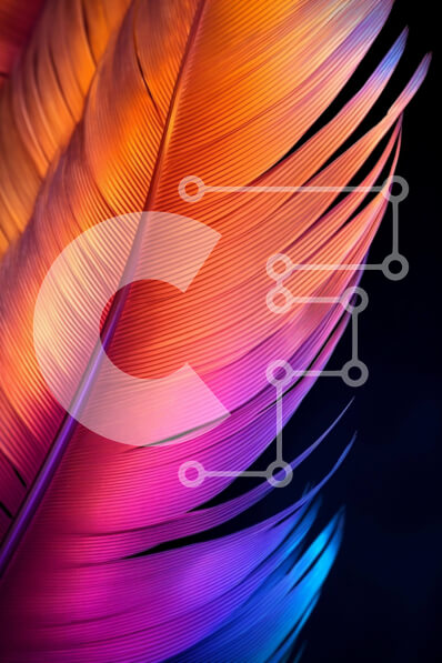 Σετ των 2 Intra Συλλεκτικό Ξύλινο Παζλ Plywood  4mm - Κοντινό πλάνο με ζωηρό πορτοκαλί, μωβ και μπλε φτερά Σε Ξύλινο Κουτί - Διαστάσεις: 10x10 cm – 25 κομμάτια