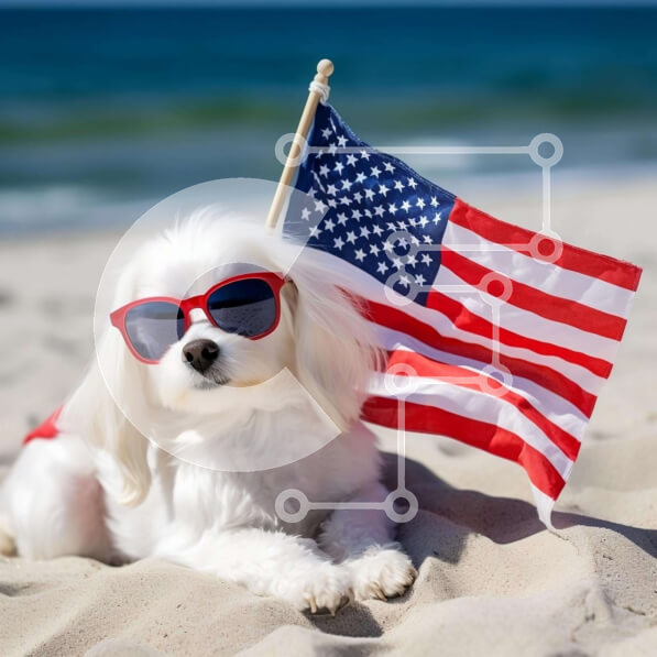 Intra Συλλεκτικό Ξύλινο Παζλ Plywood  4mm - Λευκό σκυλί με αμερικανική σημαία στην παραλία Σε Ξύλινο Κουτί - Διαστάσεις Puzzle: 10x10 cm – 25 κομμάτια