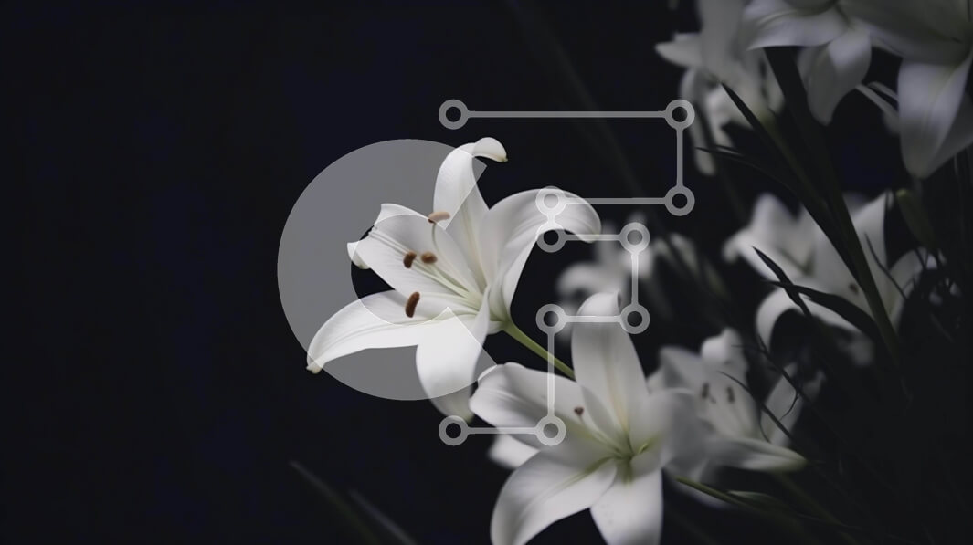 Intra Συλλεκτικό Ξύλινο Παζλ Plywood  4mm - Λευκοί κρίνοι σε σκούρο φόντο Σε Ξύλινο Κουτί - Διαστάσεις: 10x10 cm – 25 κομμάτια