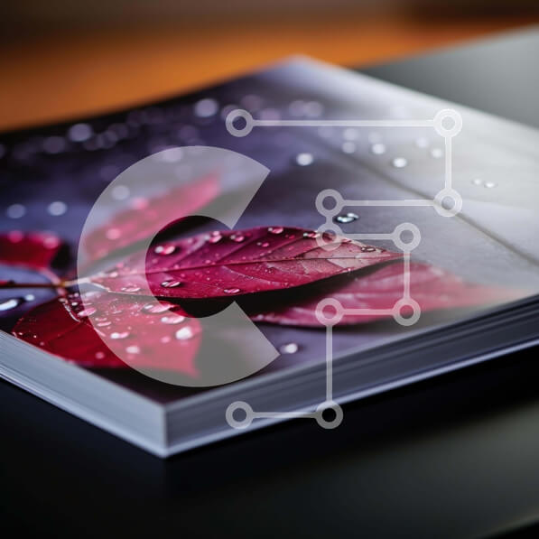 Intra Συλλεκτικό Ξύλινο Παζλ Plywood  4mm - Βιβλίο με κόκκινα φύλλα και σταγόνες νερού Σε Ξύλινο Κουτί - Διαστάσεις: 10x10 cm – 25 κομμάτια