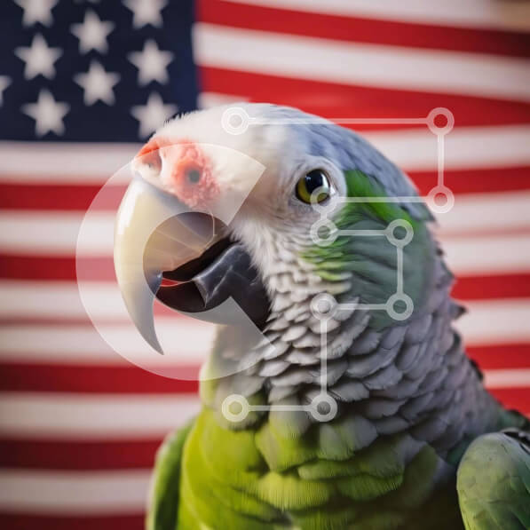 Intra Συλλεκτικό Ξύλινο Παζλ Plywood  4mm - Περίεργος πράσινος παπαγάλος με φόντο αμερικανικής σημαίας Σε Ξύλινο Κουτί - Διαστάσεις: 10x10 cm – 25 κομμάτια