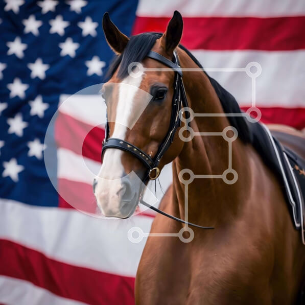 Intra Συλλεκτικό Ξύλινο Παζλ Plywood  4mm - Περιποιημένο καφέ άλογο με φόντο αμερικανικής σημαίας Σε Ξύλινο Κουτί - Διαστάσεις: 10x10 cm – 25 κομμάτια