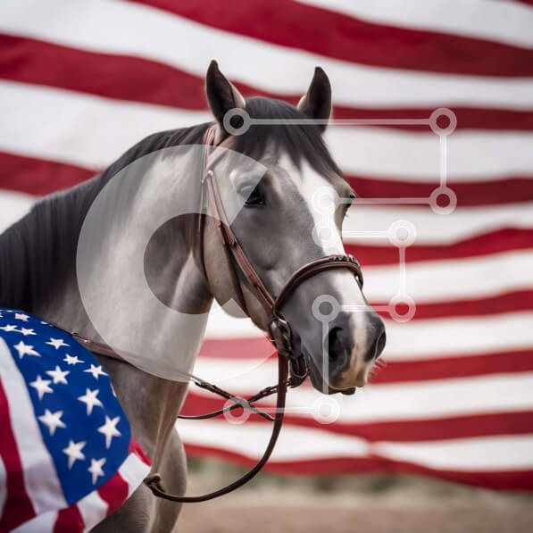 Intra Συλλεκτικό Ξύλινο Παζλ Plywood  4mm - Γκρίζο άλογο μπροστά από την αμερικανική σημαία με το χαλινάρι Σε Ξύλινο Κουτί - Διαστάσεις: 10x10 cm – 25 κομμάτια