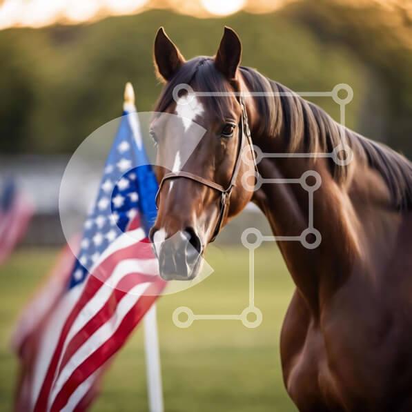 Intra Συλλεκτικό Ξύλινο Παζλ Plywood  4mm - Καφέ άλογο με αμερικανική σημαία στο χορτάρι Σε Ξύλινο Κουτί - Διαστάσεις: 10x10 cm – 25 κομμάτια