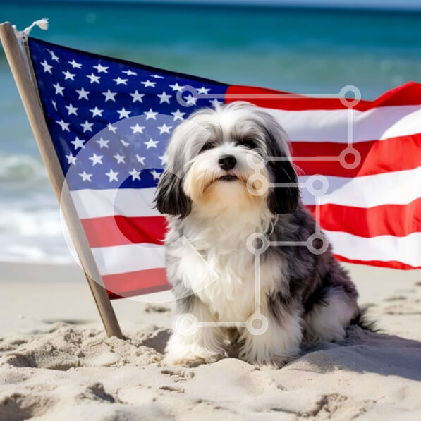 Intra Συλλεκτικό Ξύλινο Παζλ Plywood  4mm - Μικρό σκυλί με αμερικανική σημαία στην παραλία Σε Ξύλινο Κουτί - Διαστάσεις: 10x10 cm – 25 κομμάτια