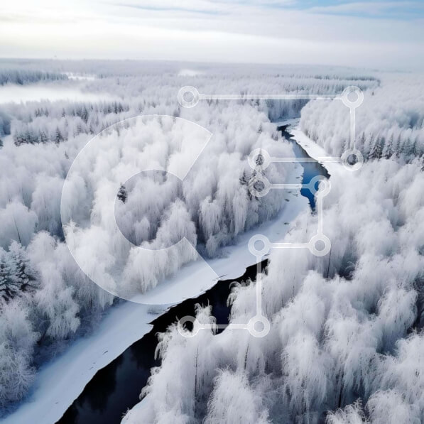 Intra Συλλεκτικό Ξύλινο Παζλ Plywood  4mm - Αεροφωτογραφία του Χιονισμένου Δάσους Σε Ξύλινο Κουτί - Διαστάσεις: 10x10 cm – 25 κομμάτια