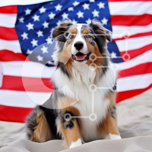 Intra Συλλεκτικό Ξύλινο Παζλ Plywood  4mm - Καφέ και λευκό σκυλί στην παραλία με την αμερικανική σημαία Σε Ξύλινο Κουτί - Διαστάσεις Puzzle: 10x10 cm – 25 κομμάτια