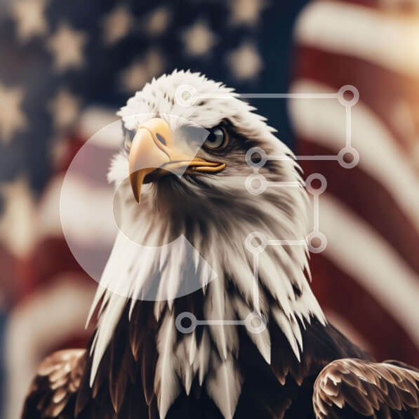 Intra Συλλεκτικό Ξύλινο Παζλ Plywood  4mm - Μεγαλοπρεπής αετός με αμερικανική σημαία Σε Ξύλινο Κουτί - Διαστάσεις: 10x10 cm – 25 κομμάτια