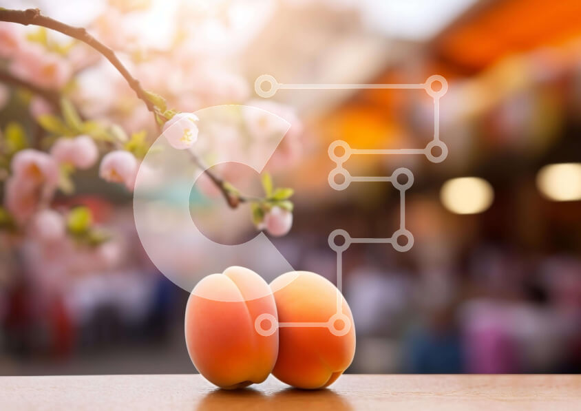 Σετ των 2 Intra Συλλεκτικό Ξύλινο Παζλ Plywood  4mm - Φρέσκα βερίκοκα σε ξύλινο τραπέζι με ανθρώπους Σε Ξύλινο Κουτί - Διαστάσεις: 10x10 cm – 25 κομμάτια