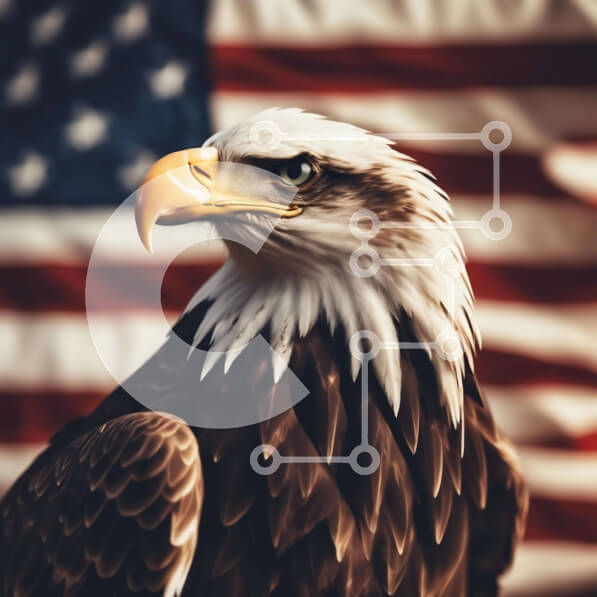 Intra Συλλεκτικό Ξύλινο Παζλ Plywood  4mm - Φαλακρός αετός με αμερικανική σημαία Σε Ξύλινο Κουτί - Διαστάσεις: 10x10 cm – 25 κομμάτια