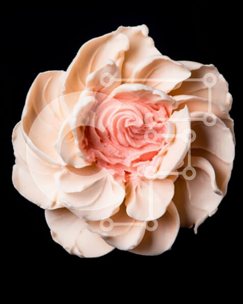 Intra Συλλεκτικό Ξύλινο Παζλ Plywood  4mm - Λευκό λουλούδι με ροζ πάγωμα Σε Ξύλινο Κουτί - Διαστάσεις Puzzle: 10x10 cm – 25 κομμάτια