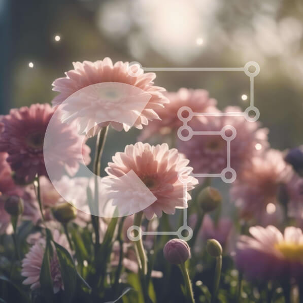 Intra Συλλεκτικό Ξύλινο Παζλ Plywood  4mm - Ανθισμένες ροζ μαργαρίτες στο γρασίδι Σε Ξύλινο Κουτί - Διαστάσεις: 10x10 cm – 25 κομμάτια