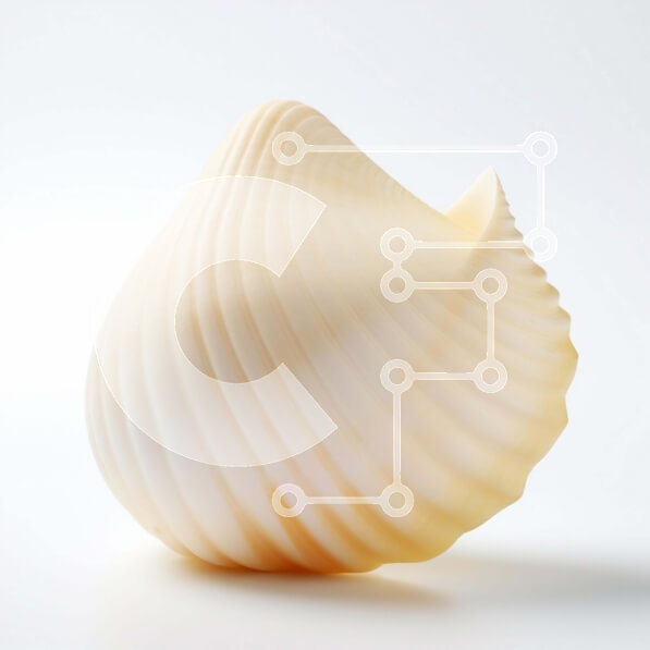 Intra Συλλεκτικό Ξύλινο Παζλ Plywood  4mm - Μεγάλο λευκό κοχύλι Σε Ξύλινο Κουτί - Διαστάσεις: 10x10 cm – 25 κομμάτια