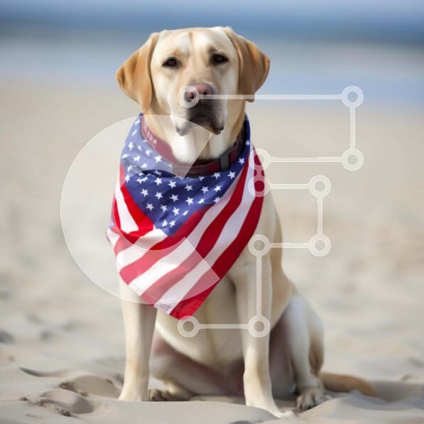 Intra Συλλεκτικό Ξύλινο Παζλ Plywood  4mm - Κίτρινος σκύλος Λαμπραντόρ με την αμερικανική σημαία Μπαντάνα στην παραλία Σε Ξύλινο Κουτί - Διαστάσεις: 10x10 cm – 25 κομμάτια