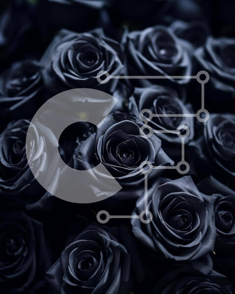 Intra Συλλεκτικό Ξύλινο Παζλ Plywood  4mm - Κομψό μπουκέτο με μαύρα τριαντάφυλλα Σε Ξύλινο Κουτί - Διαστάσεις Puzzle: 10x10 cm – 25 κομμάτια