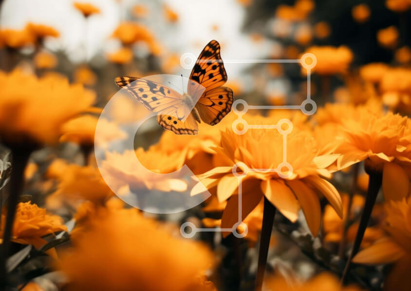 Intra Συλλεκτικό Ξύλινο Παζλ Plywood  4mm - Πεταλούδα στα κίτρινα λουλούδια Σε Ξύλινο Κουτί - Διαστάσεις: 10x10 cm – 25 κομμάτια