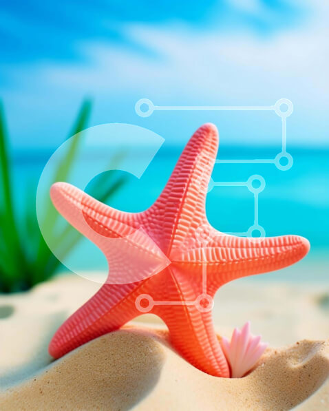 Intra Συλλεκτικό Ξύλινο Παζλ Plywood  4mm - Ροζ αστερίας στην αμμώδη παραλία κοντά στον ωκεανό Σε Ξύλινο Κουτί - Διαστάσεις: 10x10 cm – 25 κομμάτια