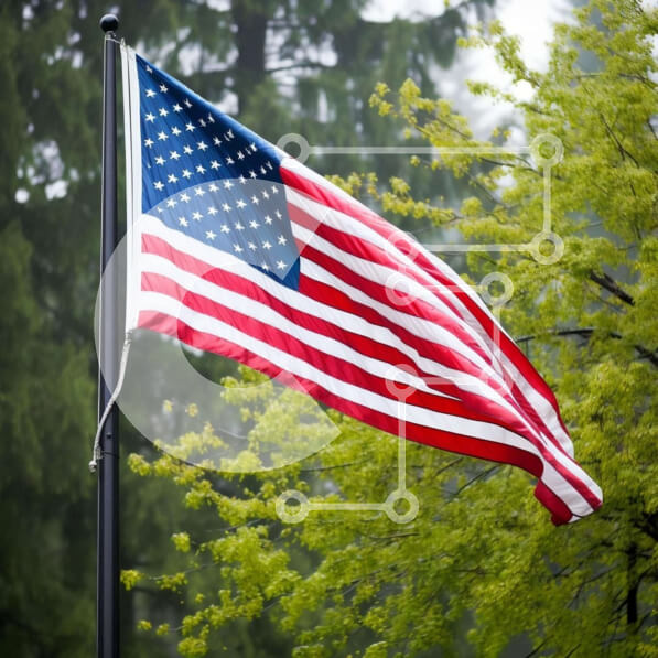 Intra Συλλεκτικό Ξύλινο Παζλ Plywood  4mm - Αμερικανική σημαία που κυματίζει κοντά σε δεντρόφυτη οδό Σε Ξύλινο Κουτί - Διαστάσεις Puzzle: 10x10 cm – 25 κομμάτια