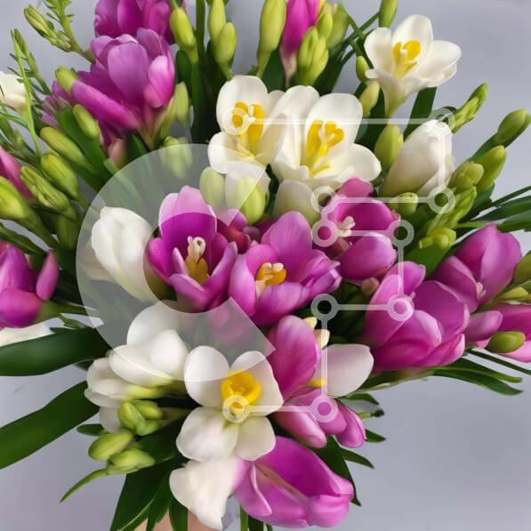 Intra Συλλεκτικό Ξύλινο Παζλ Plywood  4mm - Πολύχρωμο μπουκέτο λουλούδια στο χέρι Σε Ξύλινο Κουτί - Διαστάσεις: 10x10 cm – 25 κομμάτια