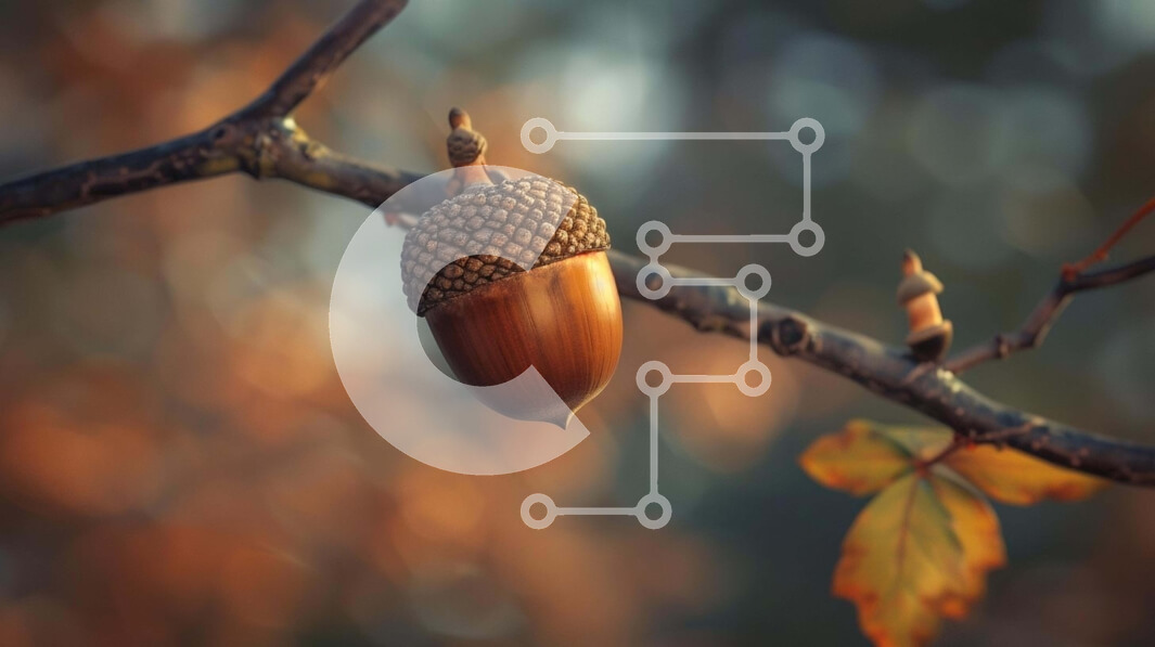 Intra Συλλεκτικό Ξύλινο Παζλ Plywood  4mm - Βελανίδι που κρέμεται από κλαδί βελανιδιάς Σε Ξύλινο Κουτί - Διαστάσεις: 10x10 cm – 25 κομμάτια