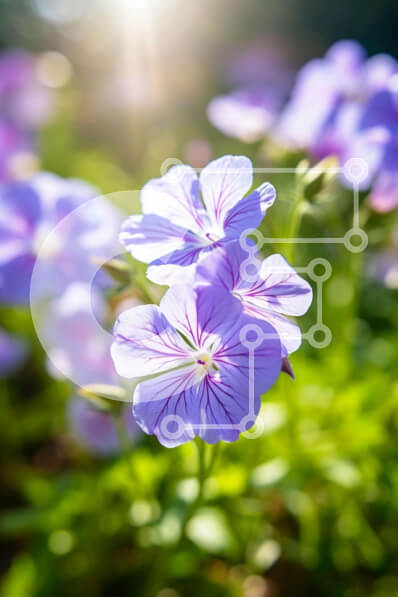 Σετ των 2 Intra Συλλεκτικό Ξύλινο Παζλ Plywood  4mm - Ομάδα μωβ λουλουδιών στον κήπο ή το πάρκο Σε Ξύλινο Κουτί - Διαστάσεις: 10x10 cm – 25 κομμάτια