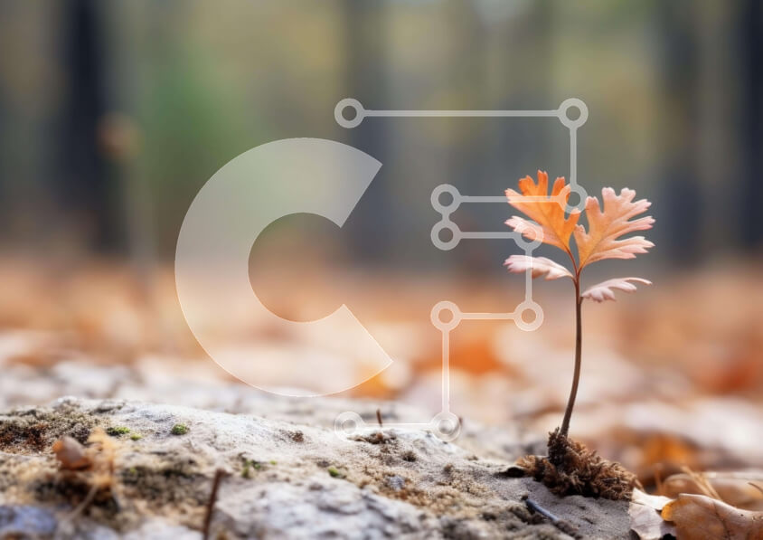 Intra Συλλεκτικό Ξύλινο Παζλ Plywood  4mm - Μονόφυλλο που βλασταίνει στο φθινοπωρινό δάσος Σε Ξύλινο Κουτί - Διαστάσεις: 10x10 cm – 25 κομμάτια