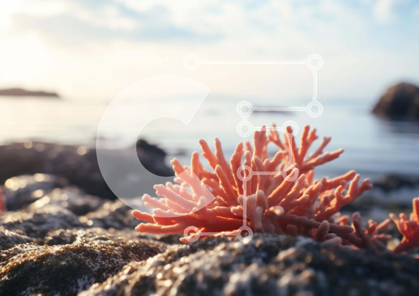 Intra Συλλεκτικό Ξύλινο Παζλ Plywood  4mm - Πορτοκαλί κοράλλι σε βράχο κοντά στο νερό Σε Ξύλινο Κουτί - Διαστάσεις: 10x10 cm – 25 κομμάτια