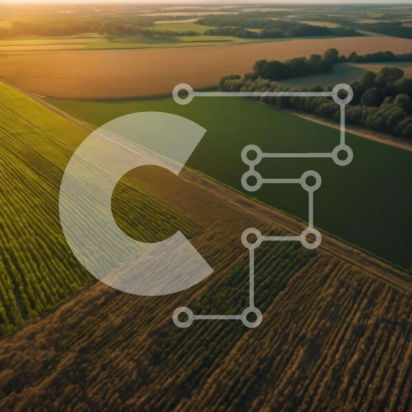 Intra Συλλεκτικό Ξύλινο Παζλ Plywood  4mm - Εναέρια άποψη του πράσινου χωραφιού με τις καλλιέργειες και τα δέντρα Σε Ξύλινο Κουτί - Διαστάσεις: 10x10 cm – 25 κομμάτια