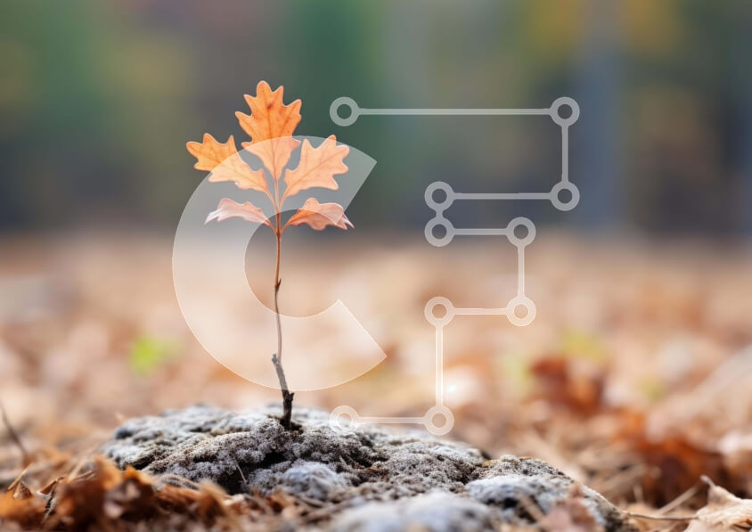 Intra Συλλεκτικό Ξύλινο Παζλ Plywood  4mm - Μονόφυλλη ανάπτυξη Σε Ξύλινο Κουτί - Διαστάσεις: 10x10 cm – 25 κομμάτια