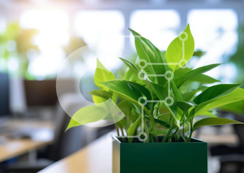 Intra Συλλεκτικό Ξύλινο Παζλ Plywood  4mm - Πράσινο φυτό σε τετράγωνο δοχείο στο γραφείο Σε Ξύλινο Κουτί - Διαστάσεις Puzzle: 10x10 cm – 25 κομμάτια