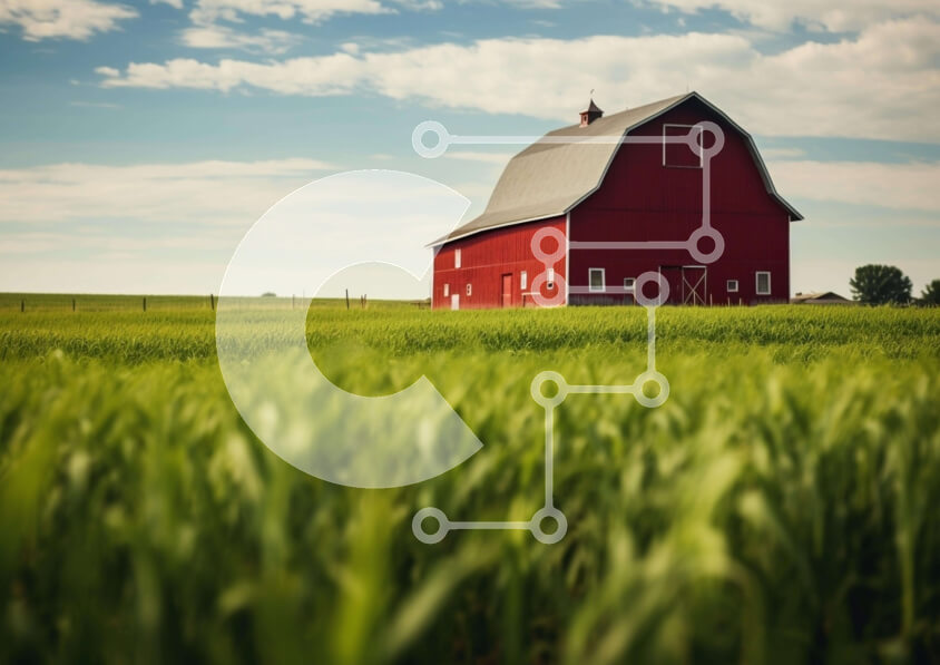 Intra Συλλεκτικό Ξύλινο Παζλ Plywood  4mm - Κόκκινη σιταποθήκη στο πράσινο πεδίο Σε Ξύλινο Κουτί - Διαστάσεις: 10x10 cm – 25 κομμάτια