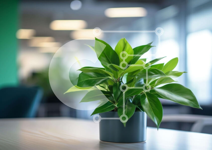 Intra Συλλεκτικό Ξύλινο Παζλ Plywood  4mm - Πράσινο φυτό σε γλάστρα στο τραπέζι γραφείου Σε Ξύλινο Κουτί - Διαστάσεις Puzzle: 10x10 cm – 25 κομμάτια