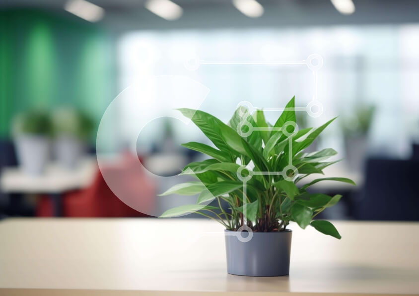 Intra Συλλεκτικό Ξύλινο Παζλ Plywood  4mm - Μικρό φυτό σε γλάστρα σε τραπέζι γραφείου Σε Ξύλινο Κουτί - Διαστάσεις: 10x10 cm – 25 κομμάτια