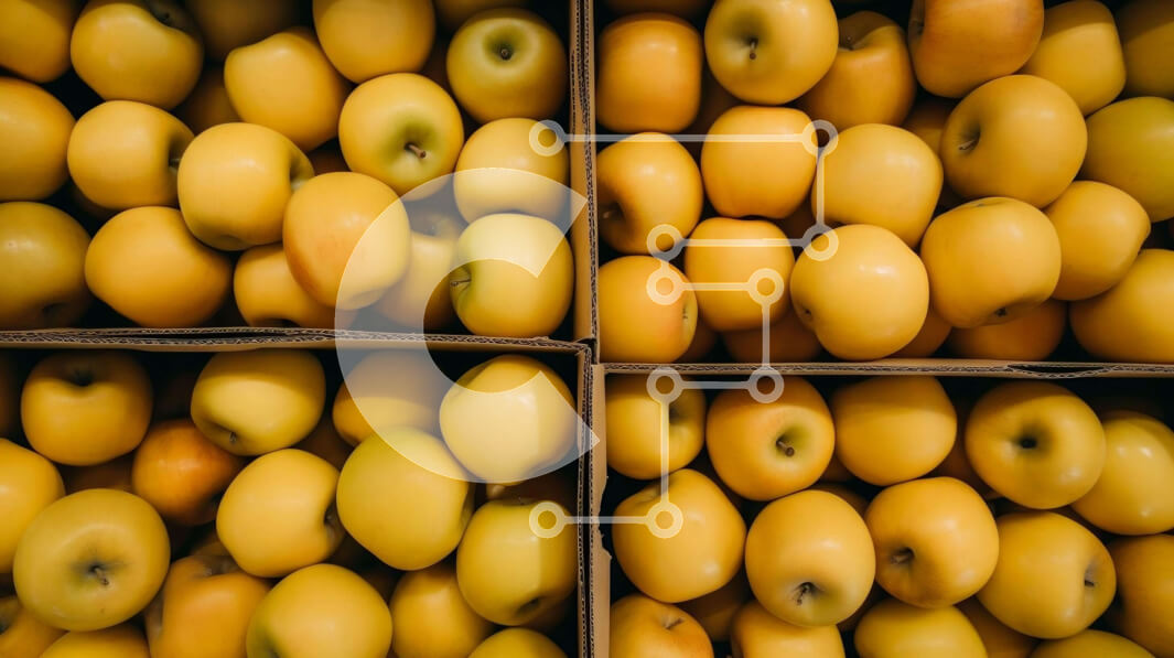 Σετ των 2 Intra Συλλεκτικό Ξύλινο Παζλ Plywood  4mm - Ανάμεικτα κίτρινα μήλα σε χάρτινα κουτιά Σε Ξύλινο Κουτί - Διαστάσεις: 10x10 cm – 25 κομμάτια