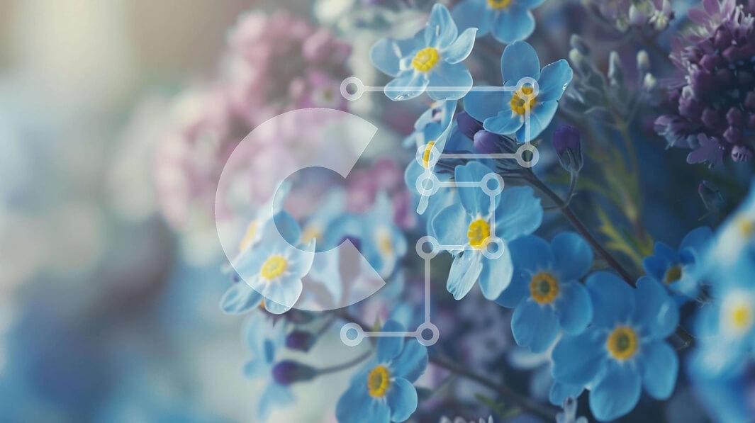 Intra Συλλεκτικό Ξύλινο Παζλ Plywood  4mm - Μπουκέτο Forget-Me-Not Flowers Σε Ξύλινο Κουτί - Διαστάσεις: 10x10 cm – 25 κομμάτια