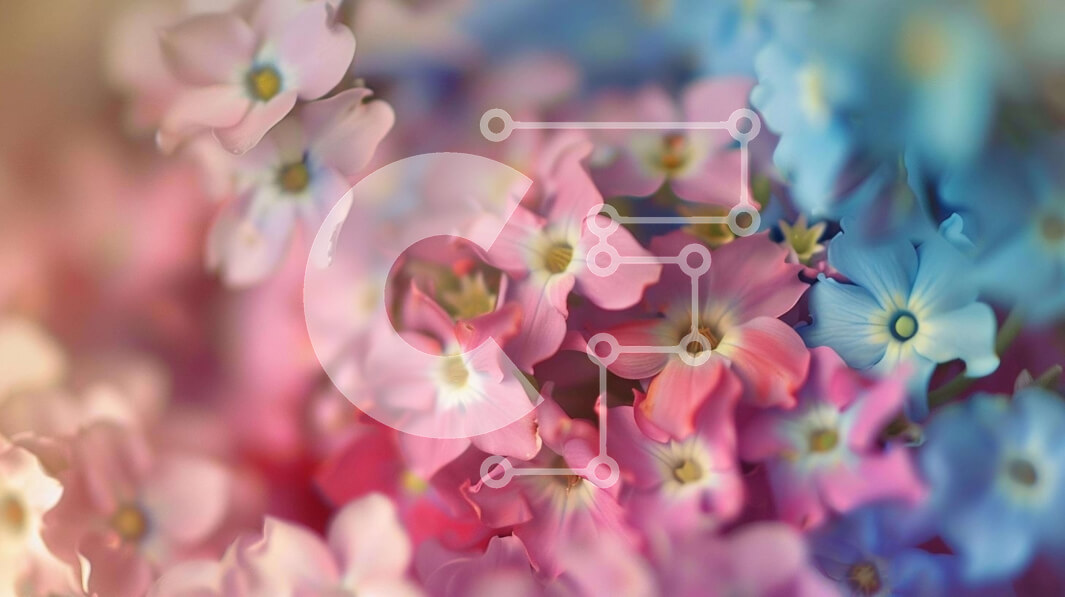 Intra Συλλεκτικό Ξύλινο Παζλ Plywood  4mm - Πολύχρωμο μπουκέτο λουλούδια που επιπλέουν στον αέρα Σε Ξύλινο Κουτί - Διαστάσεις: 10x10 cm – 25 κομμάτια