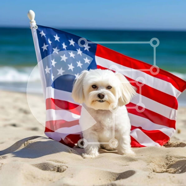 Intra Συλλεκτικό Ξύλινο Παζλ Plywood  4mm - Πατριωτικό σκυλί στην παραλία με την αμερικανική σημαία Σε Ξύλινο Κουτί - Διαστάσεις Puzzle: 10x10 cm – 25 κομμάτια