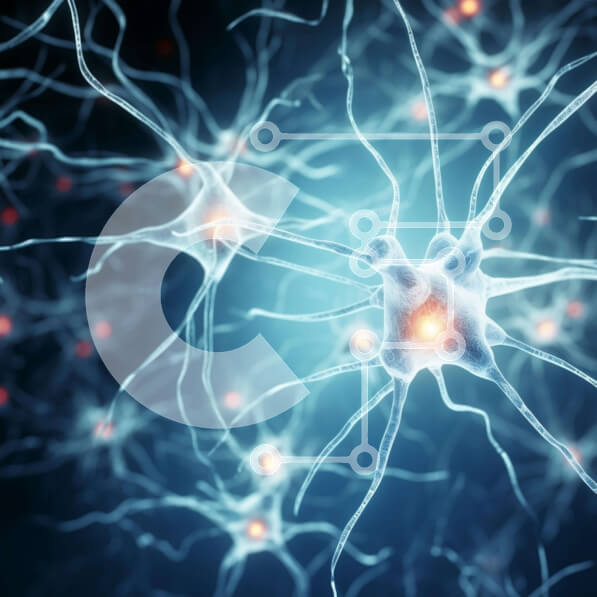 Intra Συλλεκτικό Ξύλινο Παζλ Plywood  4mm - Νευρώνες και Συνάψεις στο Κεντρικό Νευρικό Σύστημα Σε Ξύλινο Κουτί - Διαστάσεις Puzzle: 10x10 cm – 25 κομμάτια