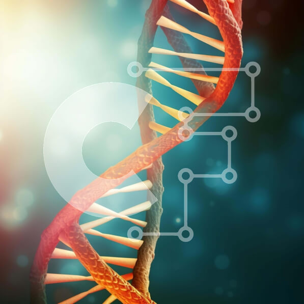 Intra Συλλεκτικό Ξύλινο Παζλ Plywood  4mm - Πολύχρωμο σκέλος DNA Σε Ξύλινο Κουτί - Διαστάσεις Puzzle: 10x10 cm – 25 κομμάτια