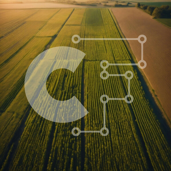 Intra Συλλεκτικό Ξύλινο Παζλ Plywood  4mm - Εναέρια άποψη του πράσινου πεδίου με τις καλλιέργειες στο ηλιοβασίλεμα Σε Ξύλινο Κουτί - Διαστάσεις: 10x10 cm – 25 κομμάτια