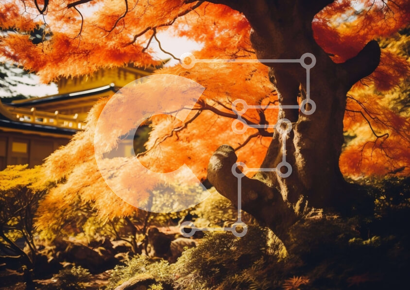 Intra Συλλεκτικό Ξύλινο Παζλ Plywood  4mm - Φθινοπωρινό τοπίο με πορτοκαλιά και πουλί Σε Ξύλινο Κουτί - Διαστάσεις: 10x10 cm – 25 κομμάτια