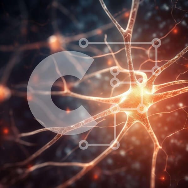 Intra Συλλεκτικό Ξύλινο Παζλ Plywood  4mm - Κοντινή εικόνα ενός νευρώνα με φωτεινά χρώματα Σε Ξύλινο Κουτί - Διαστάσεις Puzzle: 10x10 cm – 25 κομμάτια